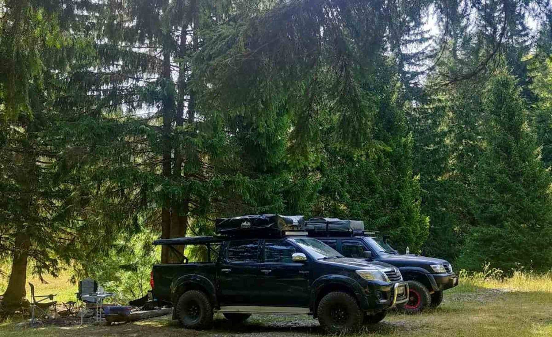 Two 4x4 pickups with roof tents and camp chairs set up in a spruce forest clearing