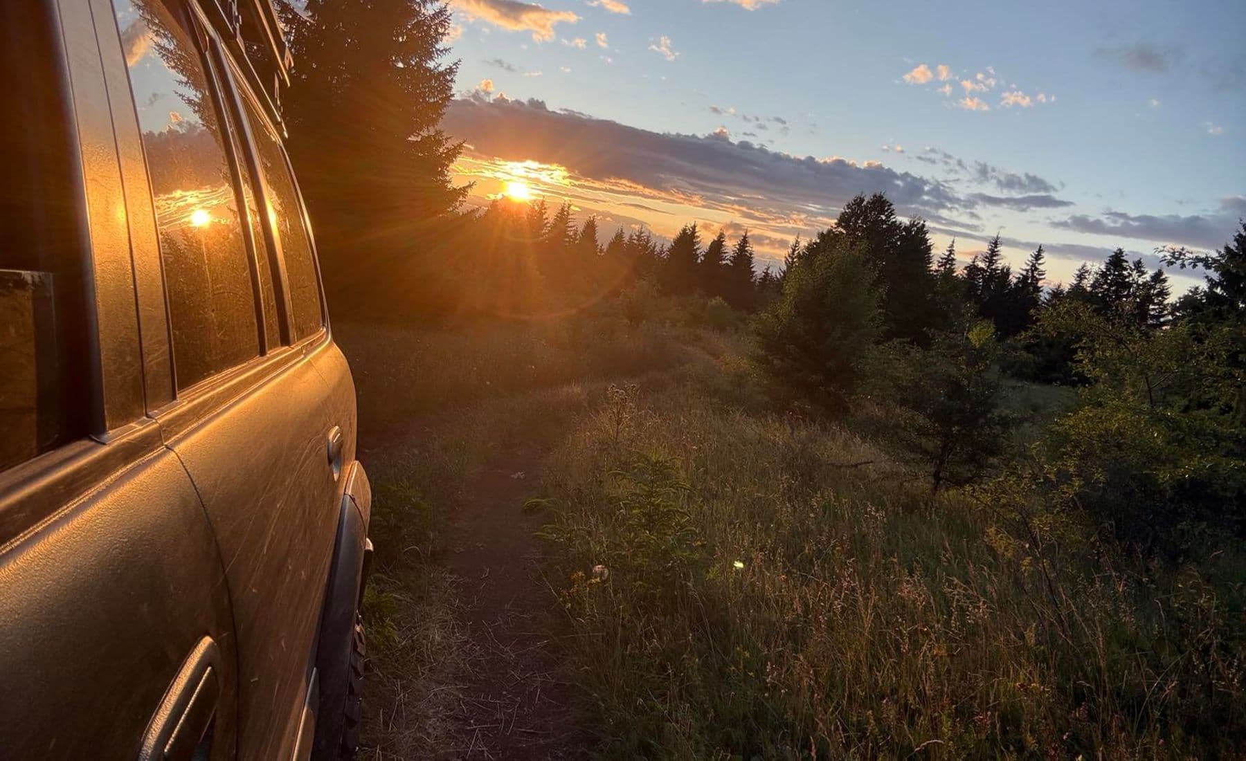 4x4 on a grass track through an upland meadow at sunset, spruce forest along the skyline