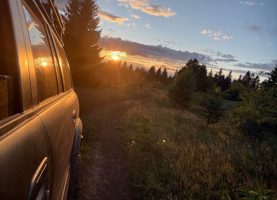 4x4 on a grass track through an upland meadow at sunset, spruce forest along the skyline
