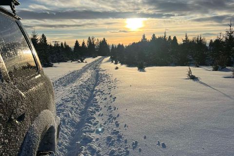 Frosted 4x4 beside tyre tracks on a snowy forest track at sunset, spruces along the edge