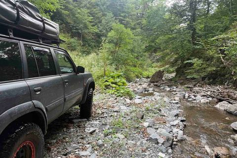 A 4x4 with a roof tent parked on the stony bed of a stream in dense forest